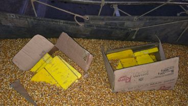 Así estaba la droga dentro del cargamento de maíz.