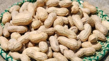 Los antioxidantes pueden combatir este acortamiento.