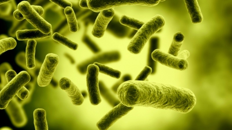 Constituye la principal causa de insuficiencia renal aguda en la infancia en Argentina.