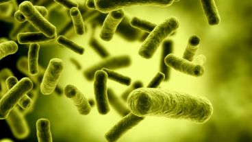 Constituye la principal causa de insuficiencia renal aguda en la infancia en Argentina.