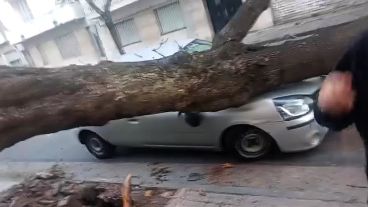 El Renault Clio quedó aplastado.