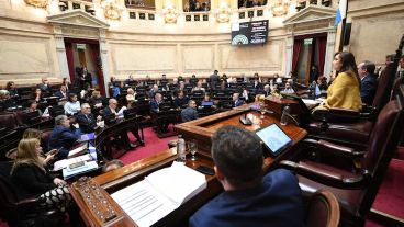 El Senado de la Nación al momento de la votación.