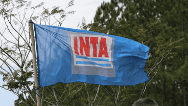 El Gobierno pasó a disponibilidad a más de 340 trabajadores del Inta y otros organismos.