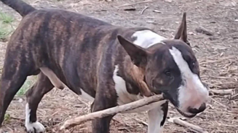 Floyd fue apuñalado por una vecina que aseguró haber actuado en defensa propia.