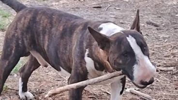 Floyd fue apuñalado por una vecina que aseguró haber actuado en defensa propia.