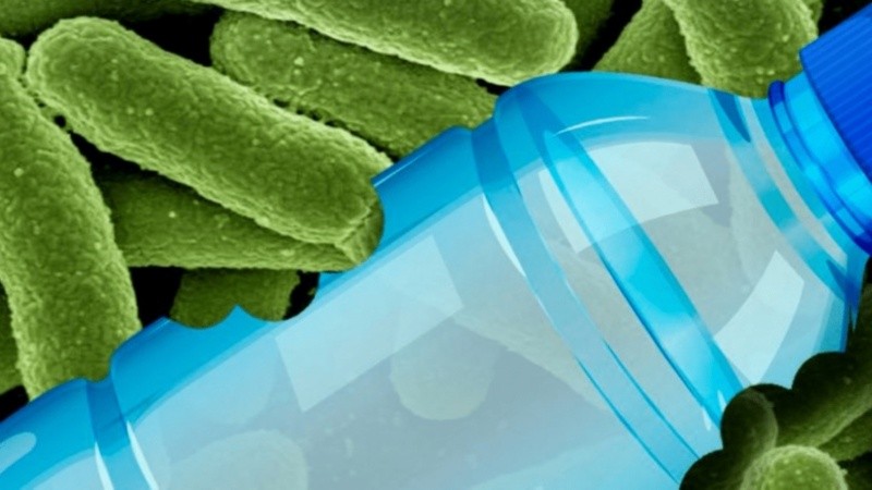 Hasta el momento la alteración de funciones celulares bacterianas sólo se conseguía si se introducía material genético ajeno en las células por medio de distintas técnicas y elementos.