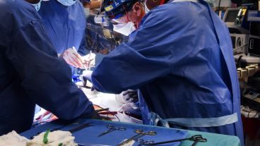 Si bien sigue siendo "una técnica experimental", se aceleraron los progresos en la edición génica, acercando cada vez más la posibilidad de convertirlo en una opción clínica real.