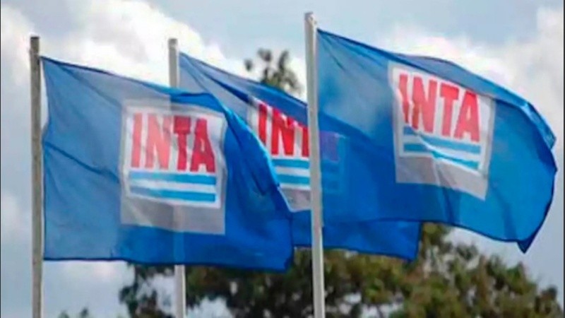 El Juzgado Federal en lo Civil y Comercial Nº 2 de San Martín hizo lugar a una presentación de la Asociación de Trabajadores del Estado (ATE) que cuestionaba la maniobra de vaciamiento del Gobierno.