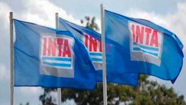 El Juzgado Federal en lo Civil y Comercial Nº 2 de San Martín hizo lugar a una presentación de la Asociación de Trabajadores del Estado (ATE) que cuestionaba la maniobra de vaciamiento del Gobierno.