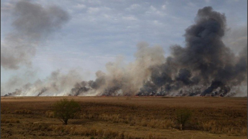 Gestión de Riesgos advierte que el 95% de los incendios son provocados por acción humana.