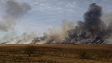 Gestión de Riesgos advierte que el 95% de los incendios son provocados por acción humana.