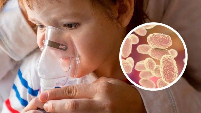 “La vacunación, la vigilancia y el uso responsable de los antibióticos son fundamentales para evitar que la tosferina vuelva a convertirse en una amenaza grave de salud pública”, explicaron desde la OPS.