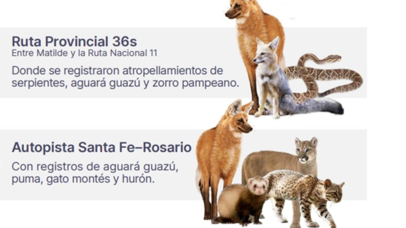 El mapa busca proteger a las especies de la región.