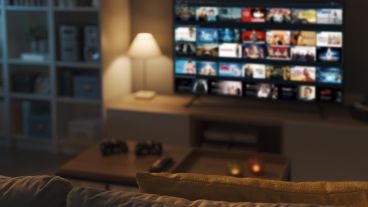 Además, desde el estudio advirtieron que “si todo lo que vemos es predecible, la adaptación a nuevos retos y aprendizajes se reduce”.