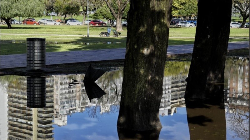 El agua acumulada puede aflojar las raíces de los árboles y precipitar su caída.