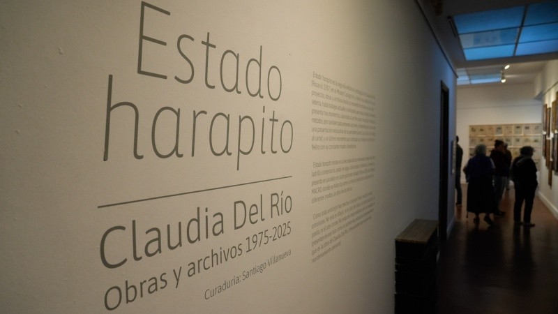 El Museo Castagnino + Macro inauguró 