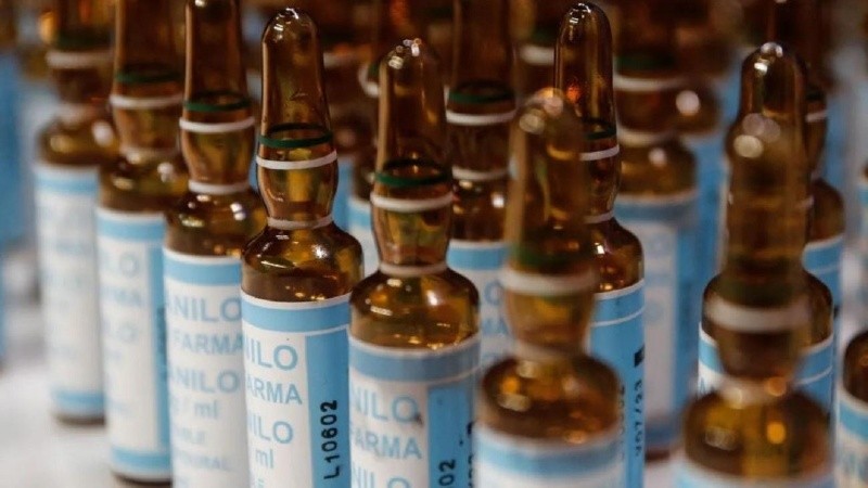 En el comunicado piden prestar especial atención al mercado informal o no regulado.