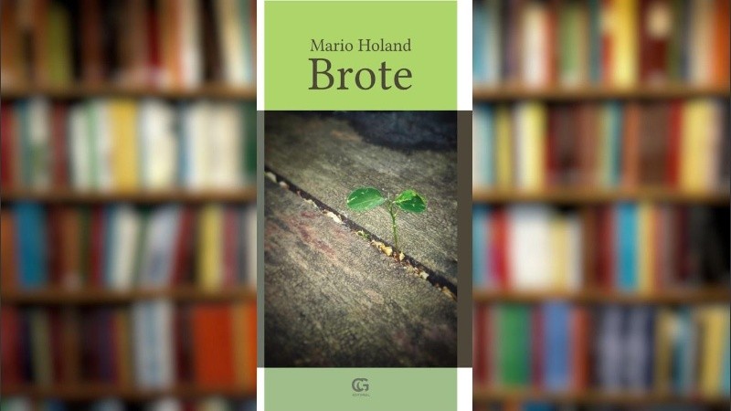 Brote, publicado por Ciudad Gótica.