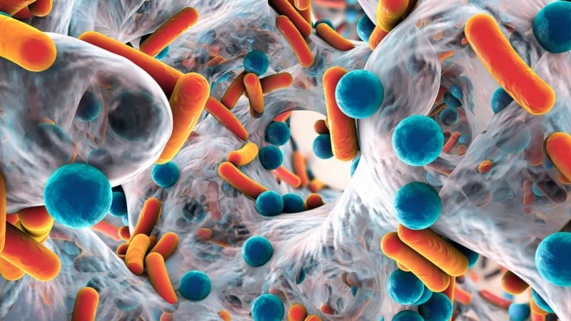 La nueva herramienta crea desde cero moléculas que la naturaleza jamás produjo.