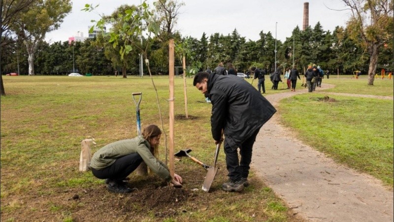 En la jornada de voluntariado ambiental se busca plantar 100 árboles.
