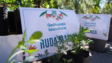 El acto de entrega de plantas y árboles de este viernes en Los Pumitas.