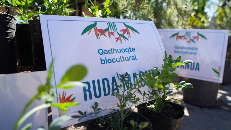   Alan Monzón/Rosario3