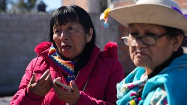 El acto de entrega de plantas y árboles de este viernes en Los Pumitas.