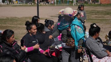 El acto de entrega de plantas y árboles de este viernes en Los Pumitas.