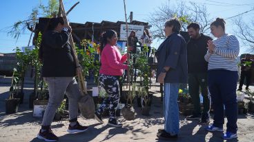 El acto de entrega de plantas y árboles de este viernes en Los Pumitas.