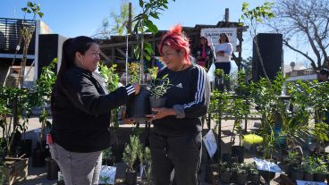 El acto de entrega de plantas y árboles de este viernes en Los Pumitas.