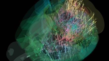 Participaron 12 equipos europeos y estadounidenses.