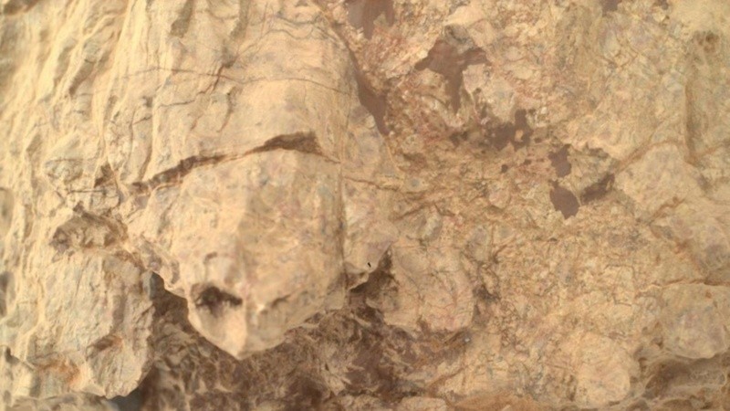 El rover Perseverance se lanzó en 2020 y aterrizó con éxito en la superficie marciana en febrero de 2021.