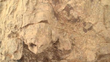 El rover Perseverance se lanzó en 2020 y aterrizó con éxito en la superficie marciana en febrero de 2021.