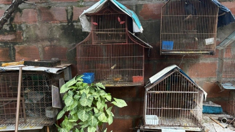 El operativo se desarrolló en una casa de zona sudoeste.