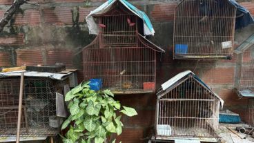 El operativo se desarrolló en una casa de zona sudoeste.