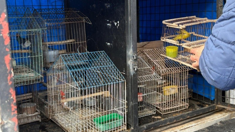 El operativo se desarrolló en una casa de zona sudoeste.