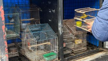 El operativo se desarrolló en una casa de zona sudoeste.