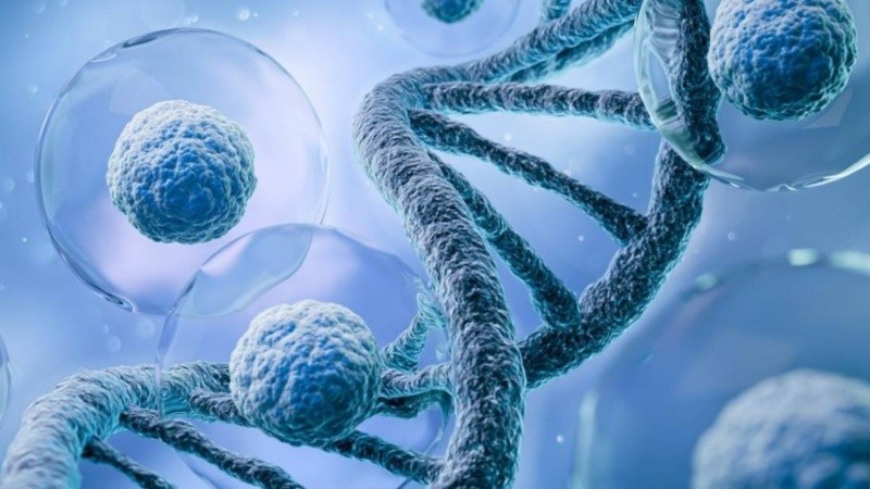 Si bien en este estudio se analizaron leucemias y linfomas, los expertos creen que esta metodología podría aplicarse a cualquier tipo de cáncer.