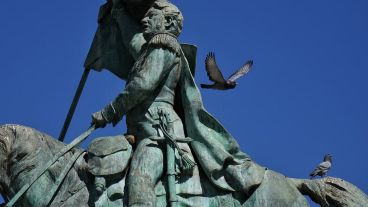 El objetivo es controlar la plaga de palomas: no ataca personas ni mascotas.