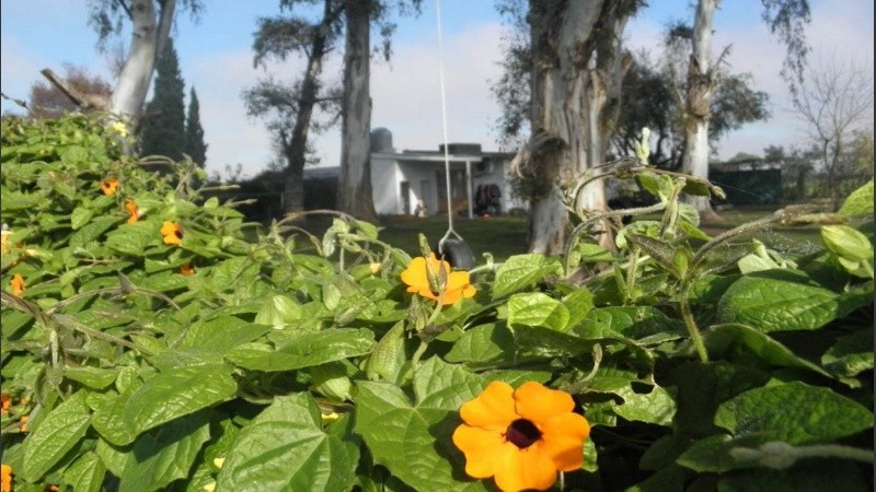 La escuela que fue objeto de robos en los últimos días.