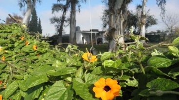 La escuela que fue objeto de robos en los últimos días.