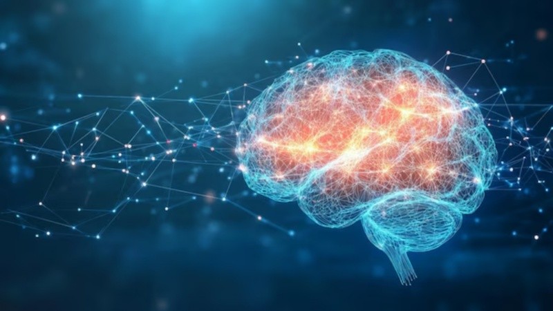 Las mutaciones en los genes de KDM1A y KDM5C se han asociado en humanos con discapacidad intelectual y otros trastornos neurológicos.