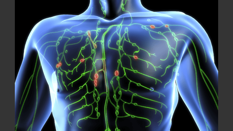 A raíz de la dificultad para reconocer sus manifestaciones, los diagnósticos son mayormente tardíos.