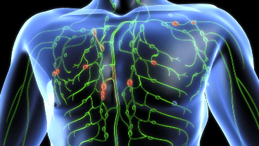 A raíz de la dificultad para reconocer sus manifestaciones, los diagnósticos son mayormente tardíos.