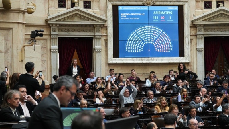 La votación por el financiamiento al Garrahan.