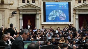 La votación por el financiamiento al Garrahan.