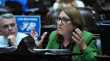 Los diputados nacionales Mónica Fein y Esteban Paulón.