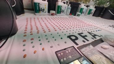 Las casi 900 "rolas" estaban distribuidas en varios de los domicilios allanados.