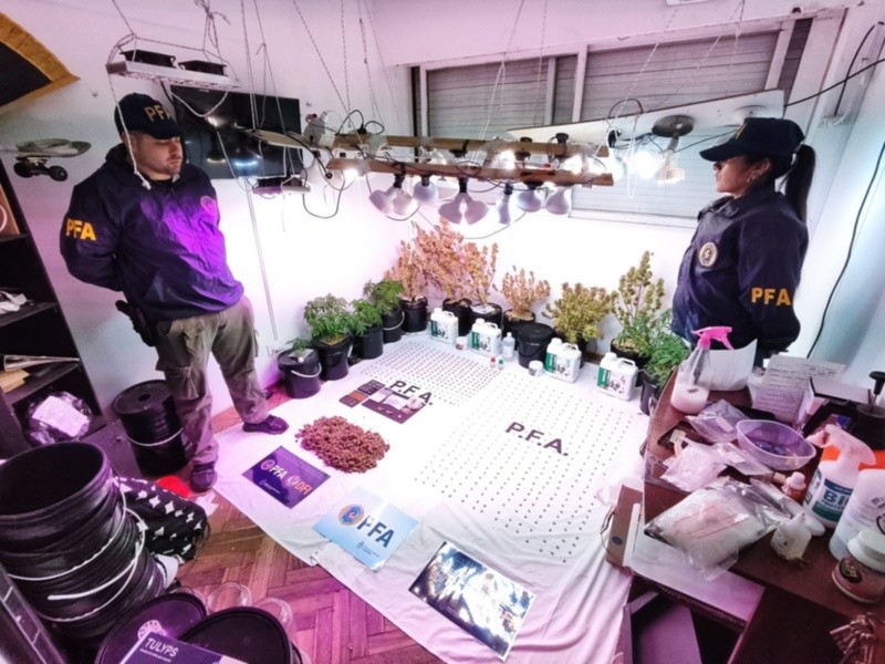 Personal de la División Antidrogas llevó a cabo seis allanamientos. 