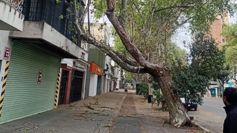 El viento complicó algunas zonas de la ciudad.